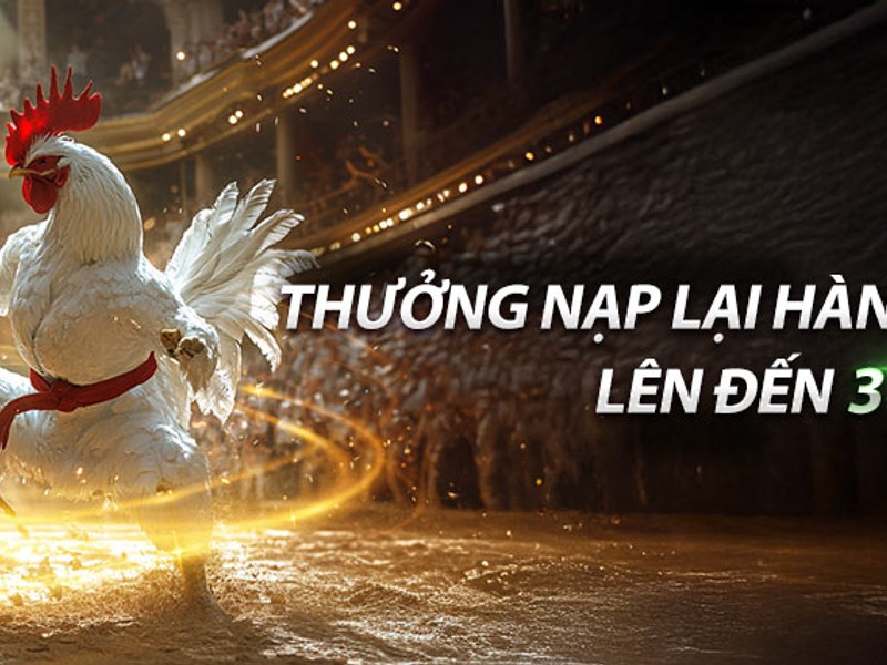 Video hướng dẫn onebet88