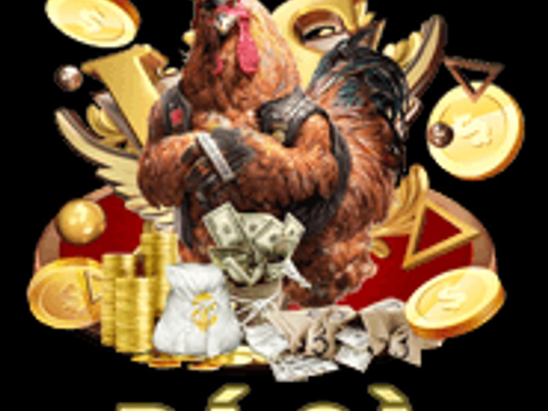 Hình ảnh tiền mặt và biểu tượng hoàn trả hàng ngày tại onebet88